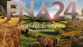 Design_sem_nome_-_2024-05-31T153928.335