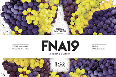 FNA 2019