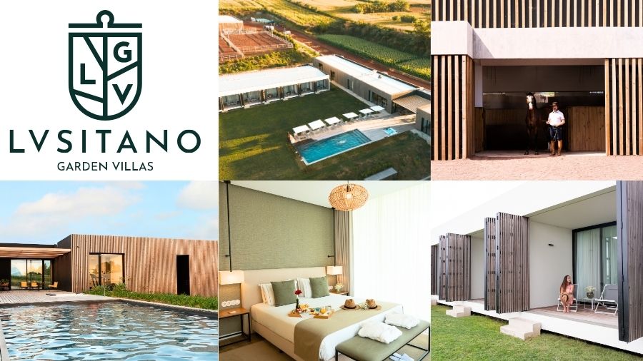 Newsletter_-_Interior_Noticia66