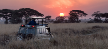 safaris_africa_agenda_de_eventos